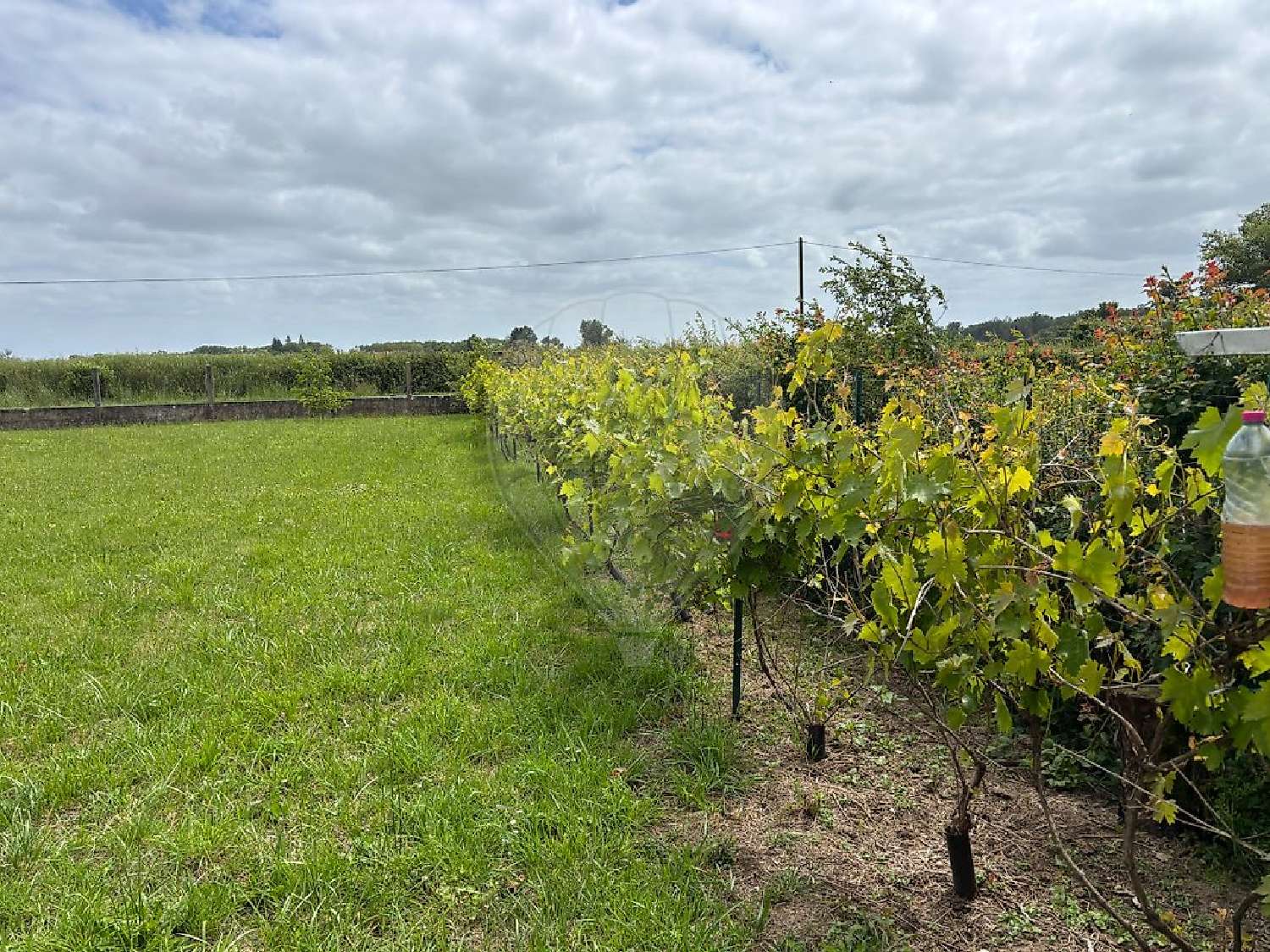 en venta casa Lamenay-sur-Loire Nièvre 5