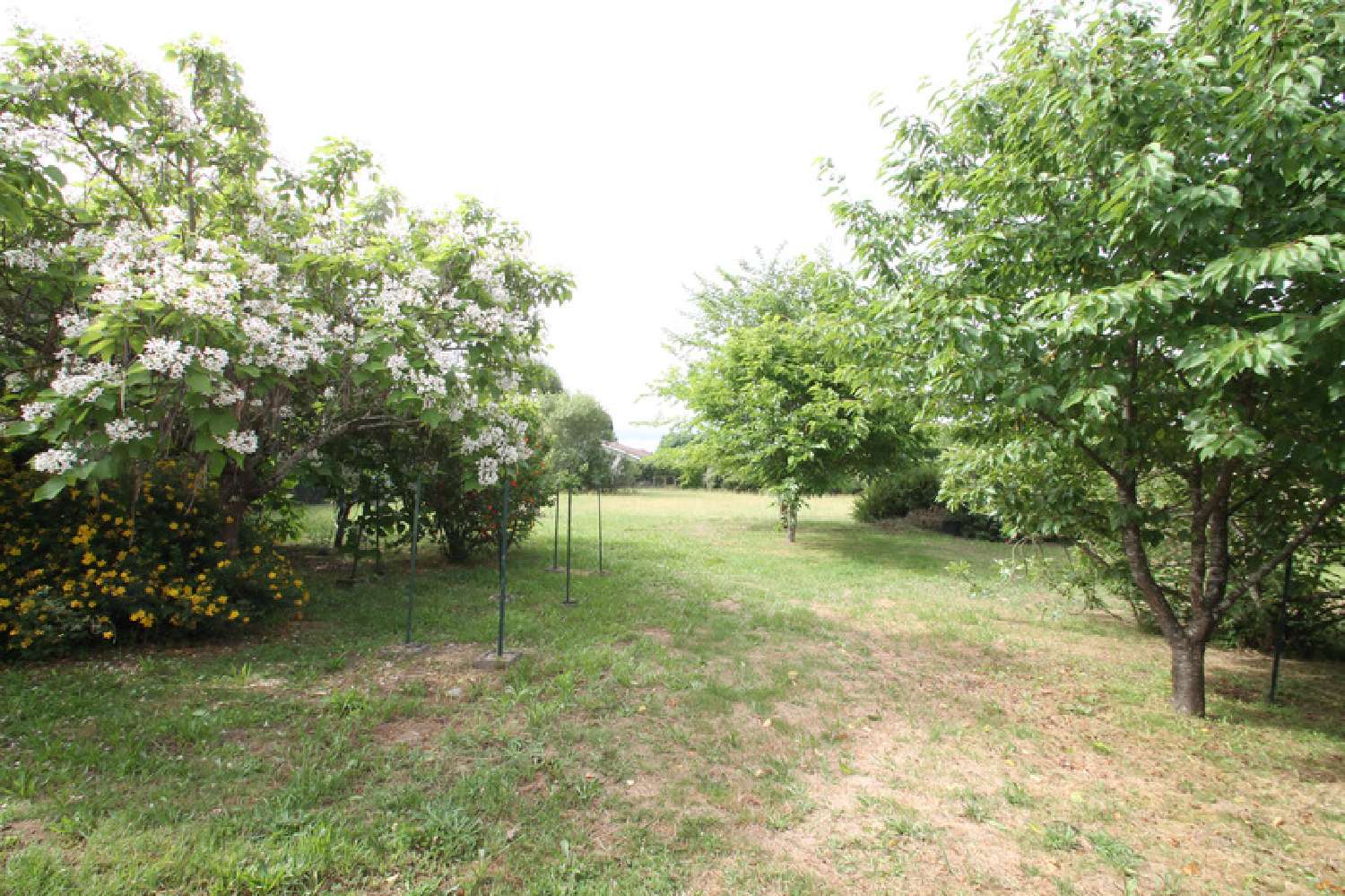  te koop huis Lamothe-Landerron Gironde 2