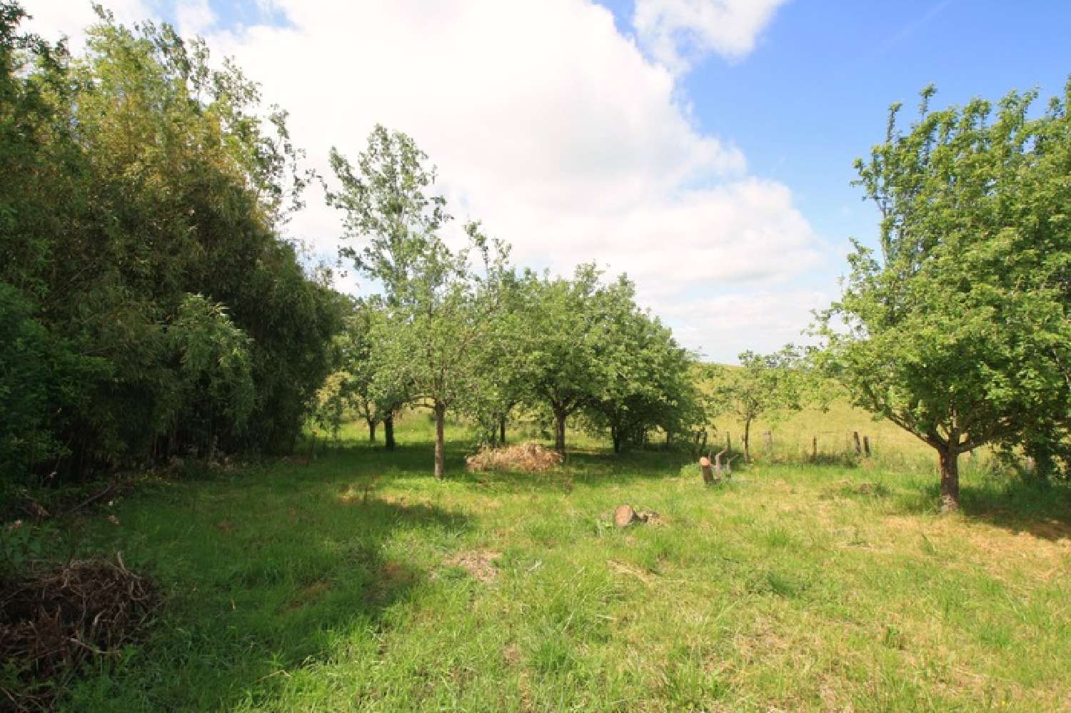 à vendre maison Lapalisse Allier 4
