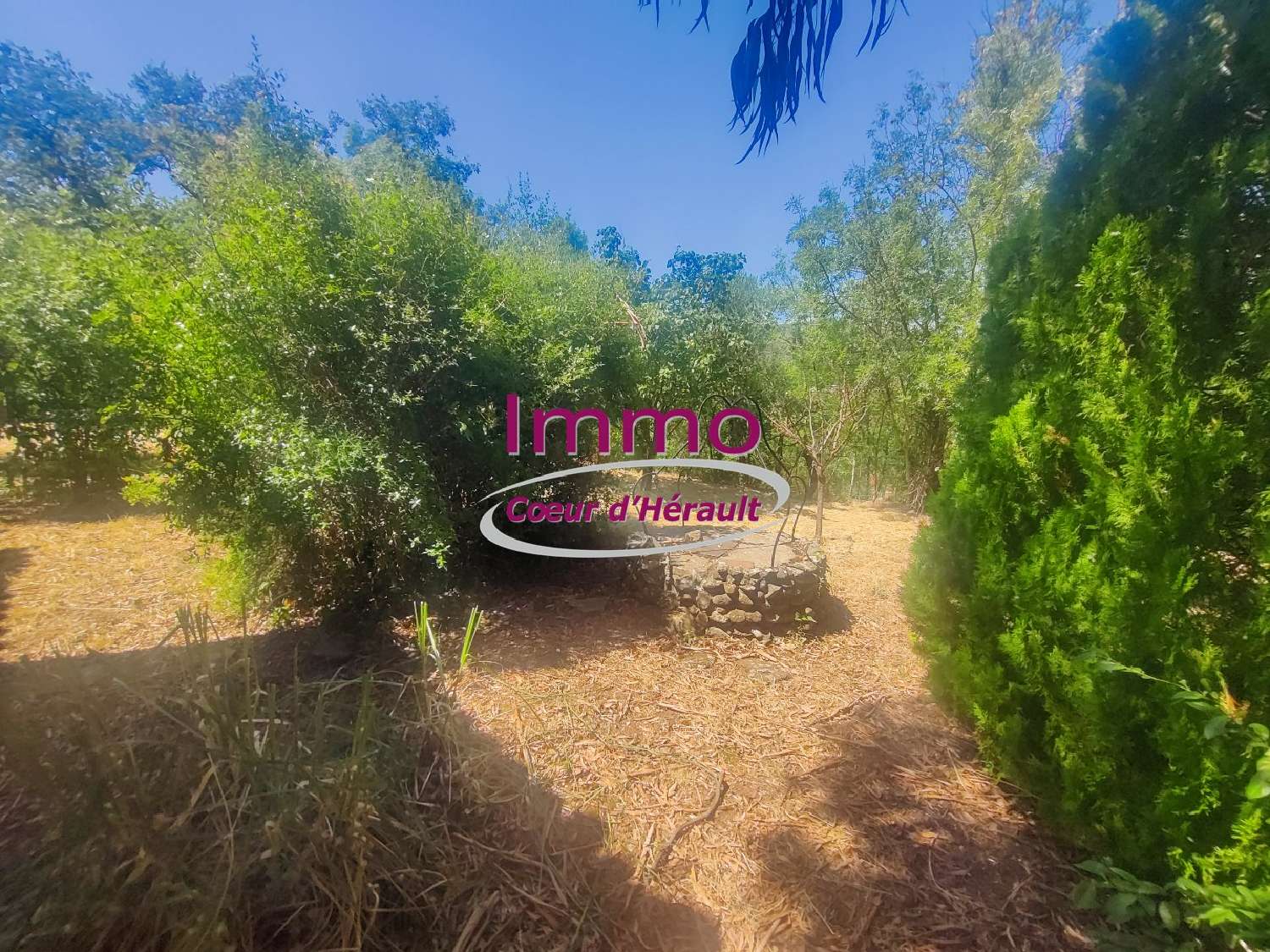 en venta casa Le Bosc Hérault 4