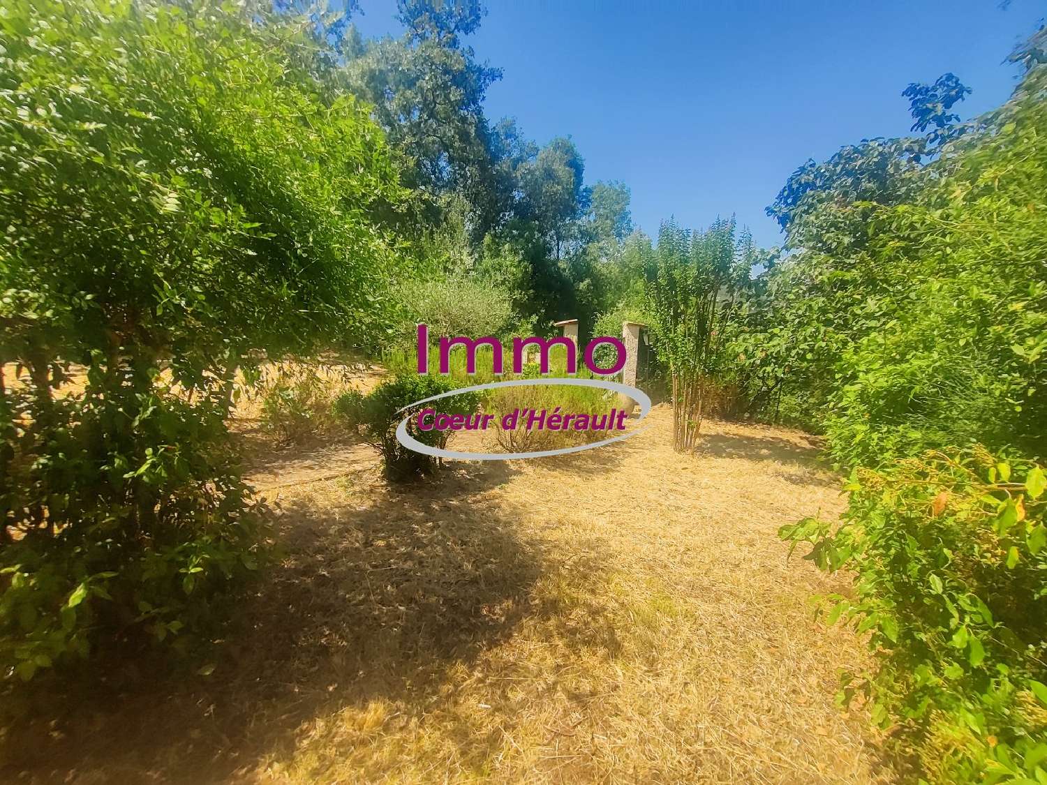 en venta casa Le Bosc Hérault 5