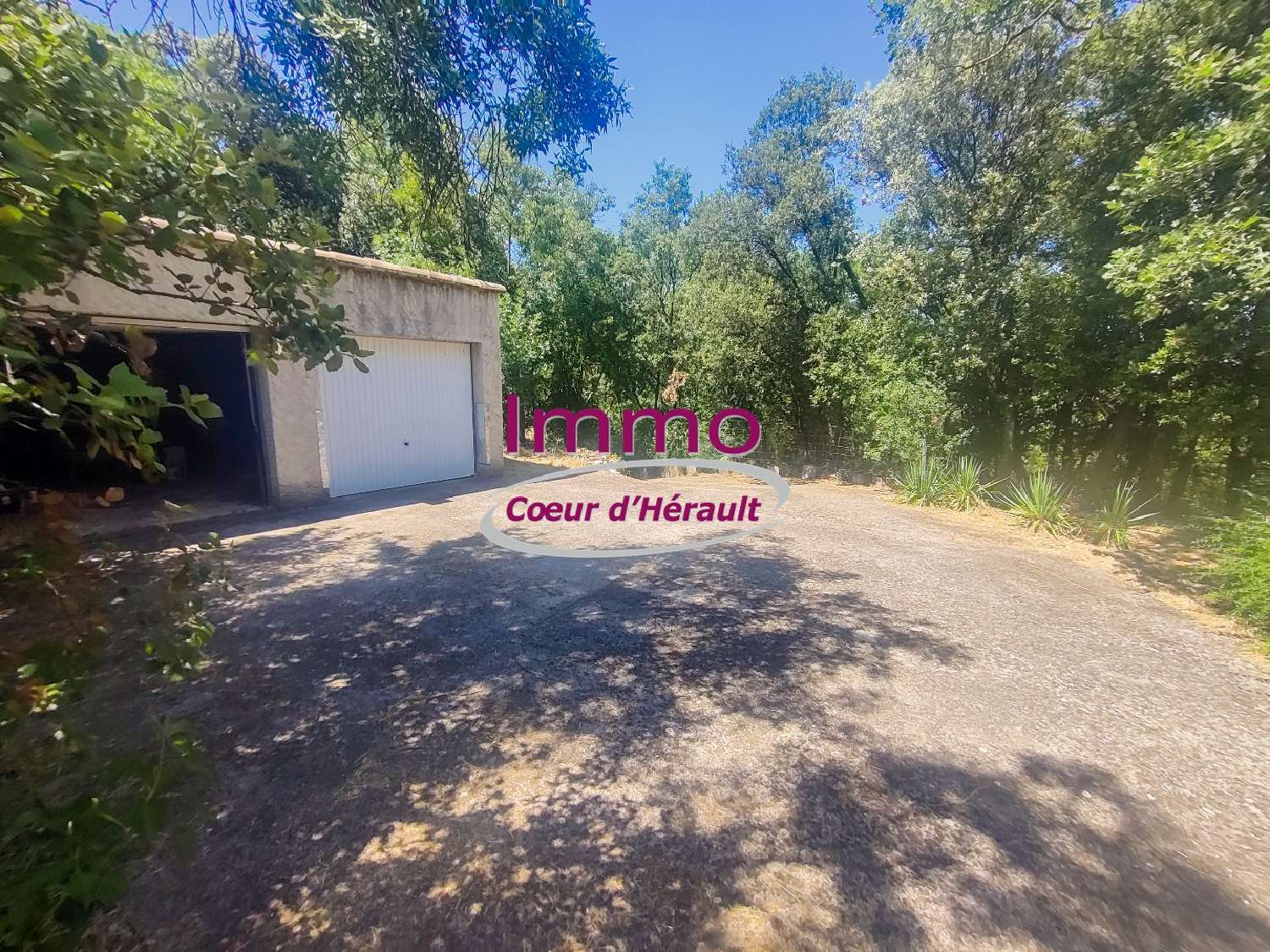 en venta casa Le Bosc Hérault 6