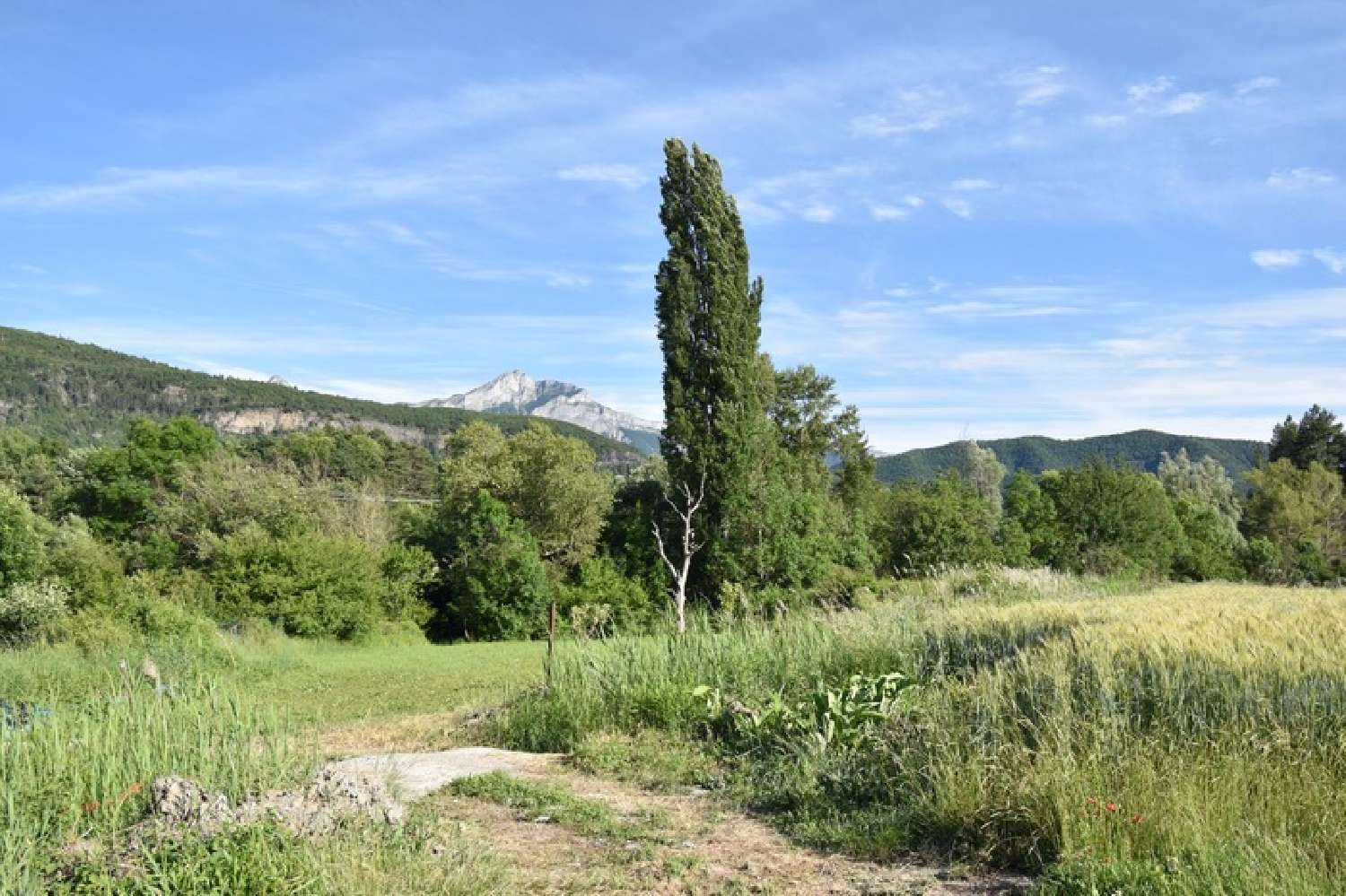kaufen Haus Le Brusquet Alpes-de-Haute-Provence 4