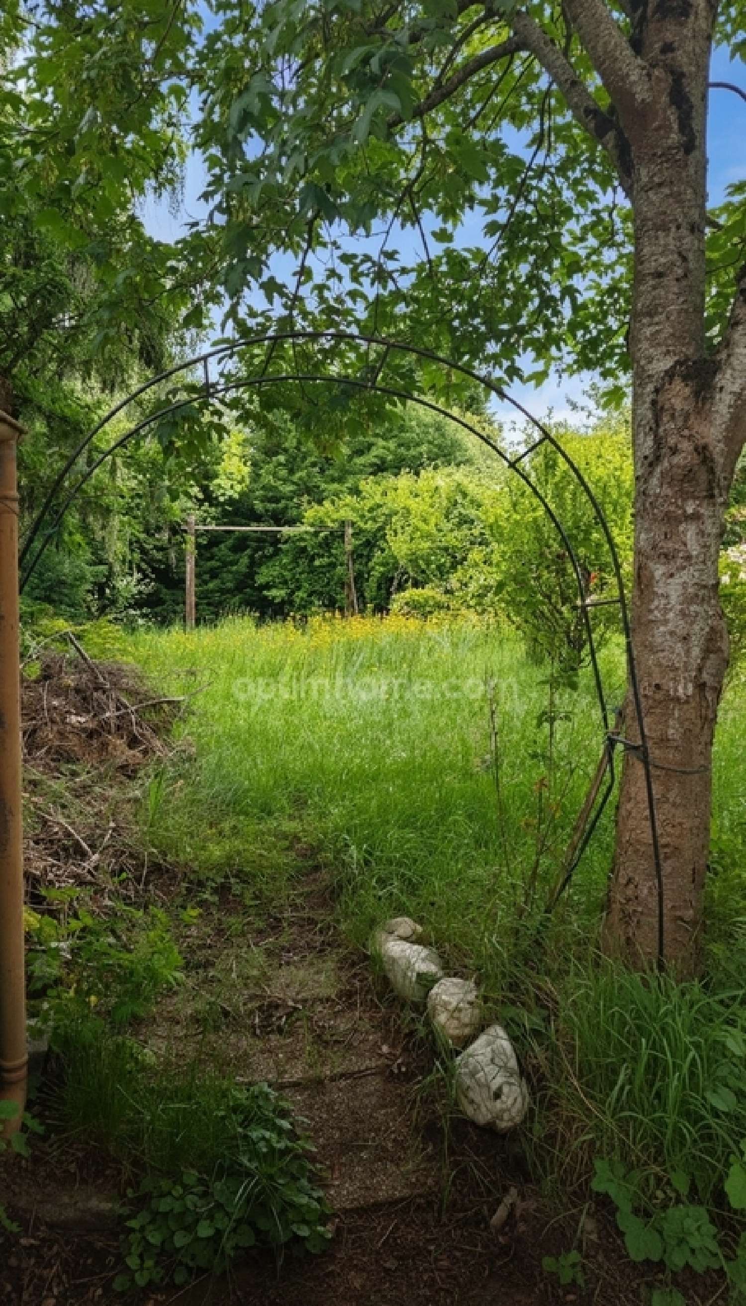  en venta casa Le Dorat Haute-Vienne 5