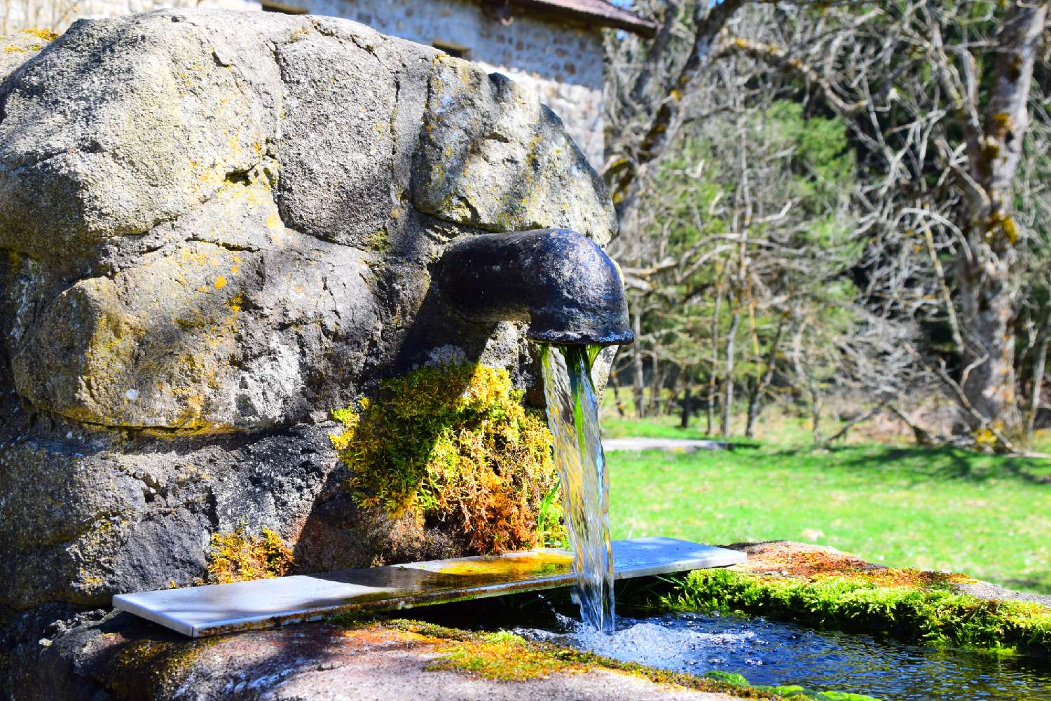 kaufen Haus Le Lac-d'Issarlès Ardèche 7