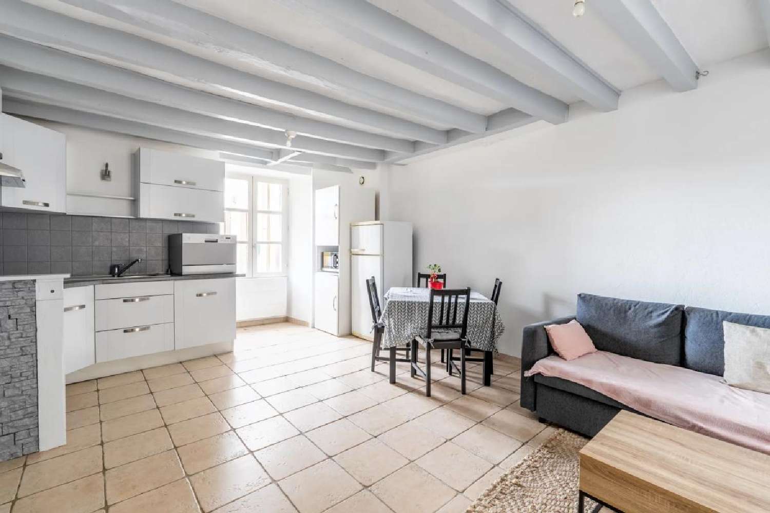  à vendre maison Le Lion-d'Angers Maine-et-Loire 1