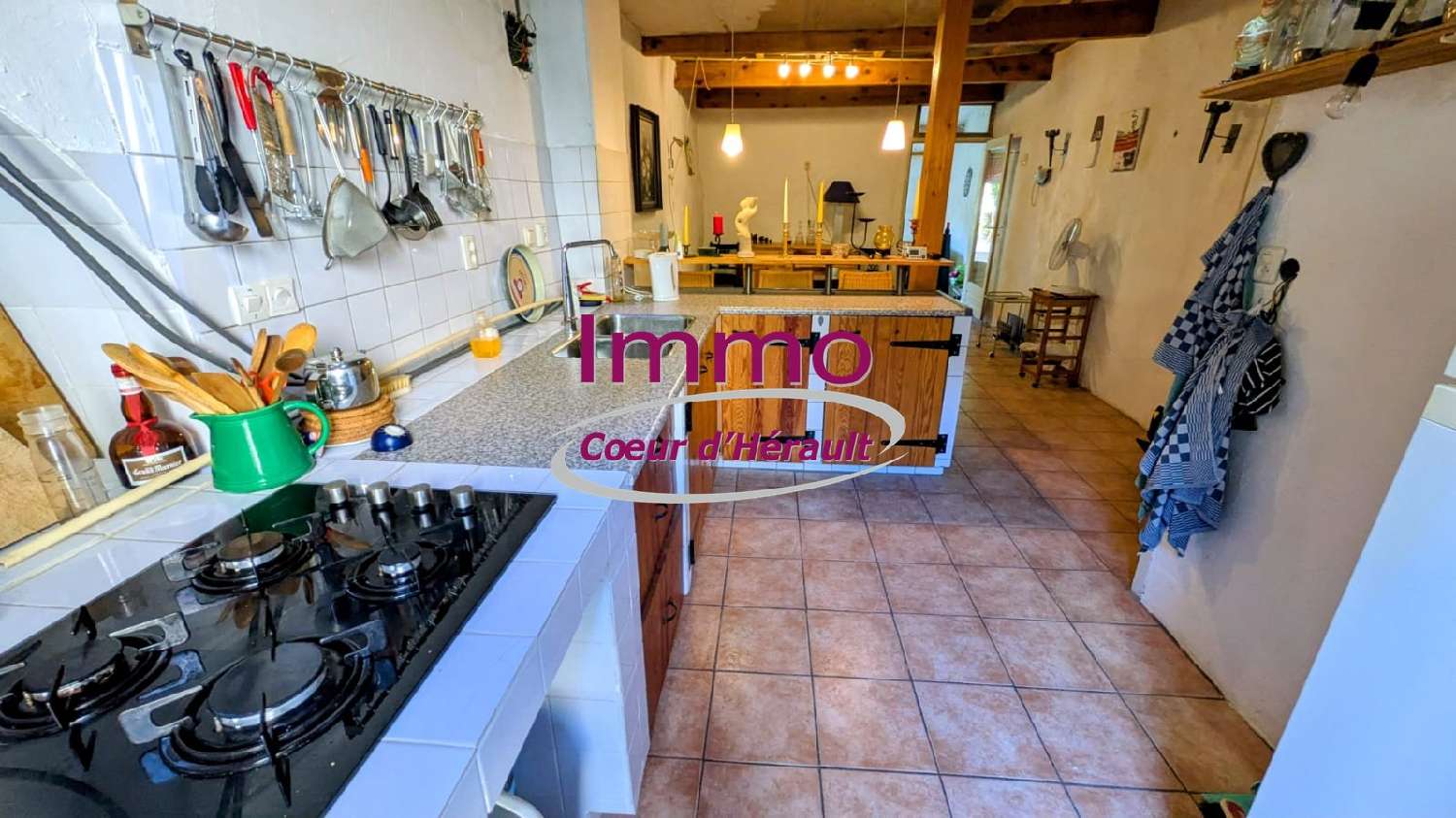 kaufen Haus Le Pouget Hérault 5