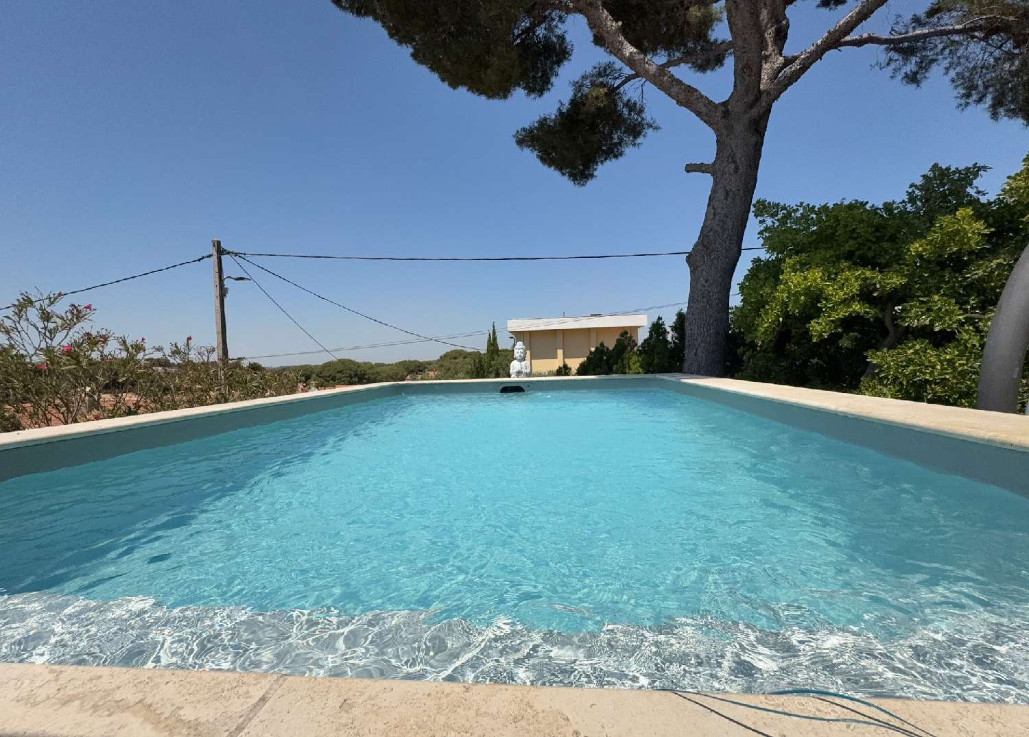  à vendre maison Le Puy-Sainte-Réparade Bouches-du-Rhône 1
