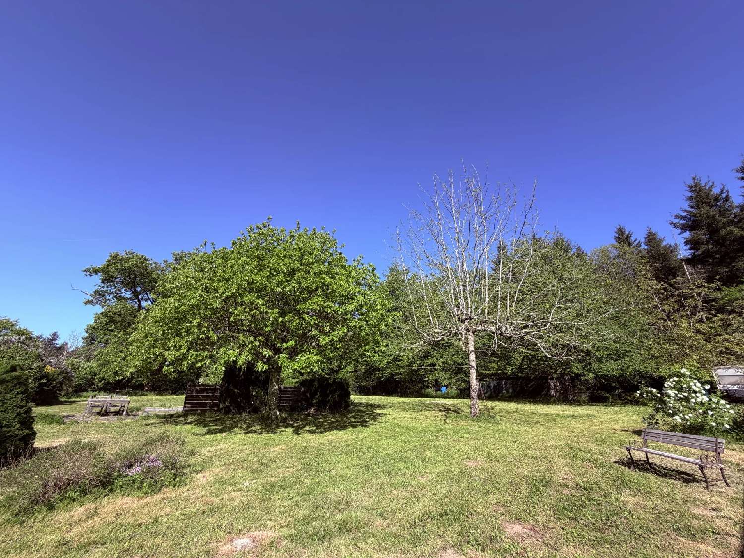 for sale house Les Grands-Chézeaux Haute-Vienne 3