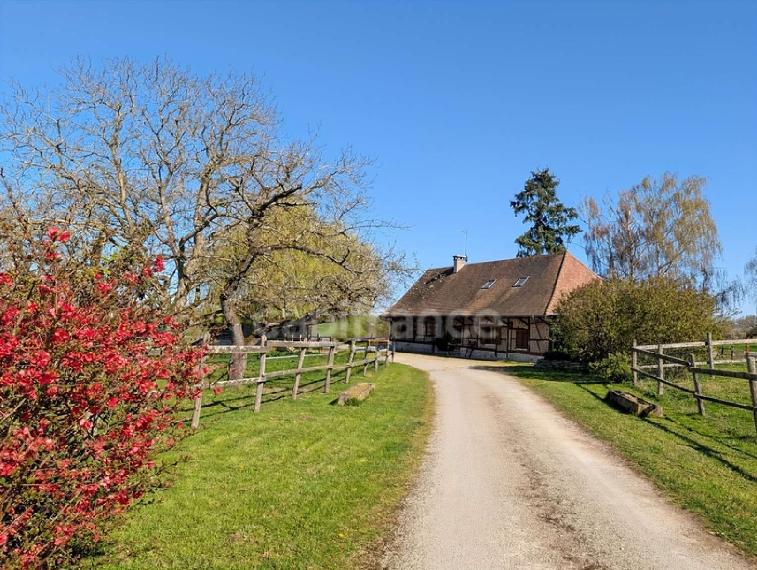  à vendre maison Lessard-en-Bresse Saône-et-Loire 2