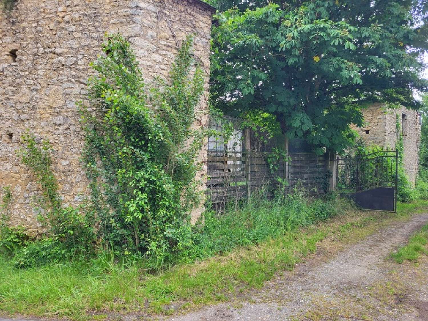 kaufen Haus Louin Deux-Sèvres 8