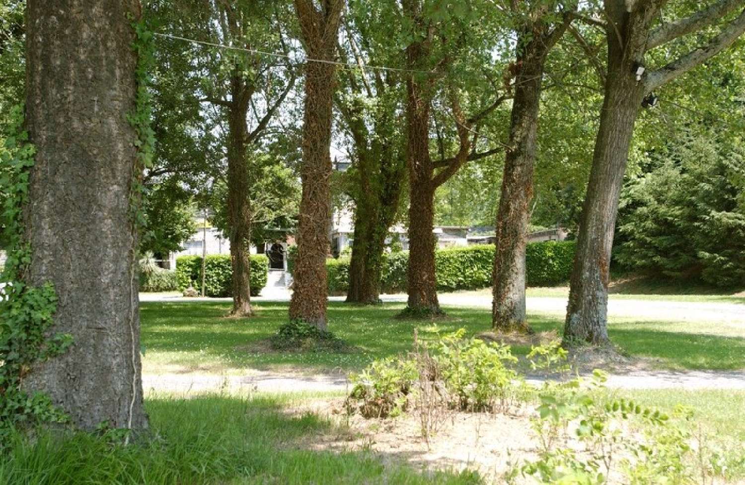 te koop huis Lourdes Hautes-Pyrénées 8