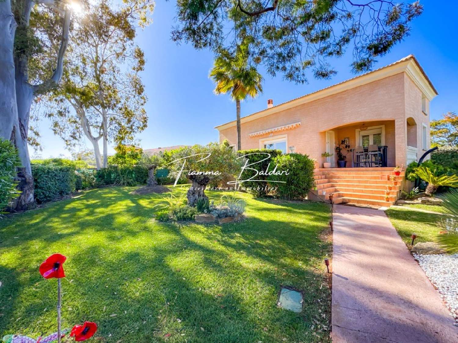 te koop huis Lucciana Haute-Corse 2