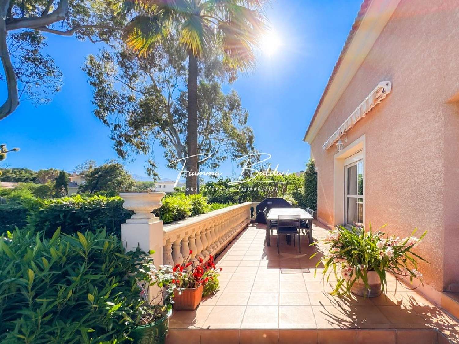 te koop huis Lucciana Haute-Corse 3