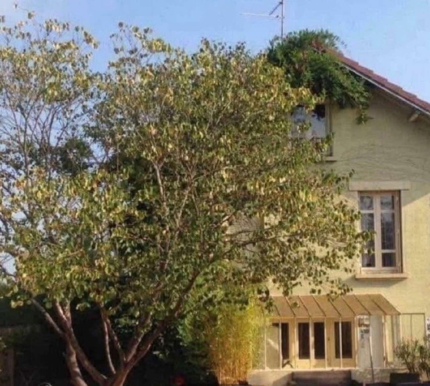  for sale house Lux Saône-et-Loire 1