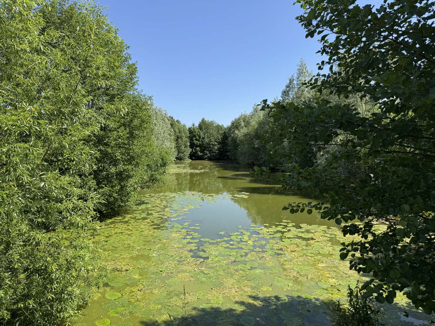  à vendre maison Magny-Vernois Haute-Saône 2