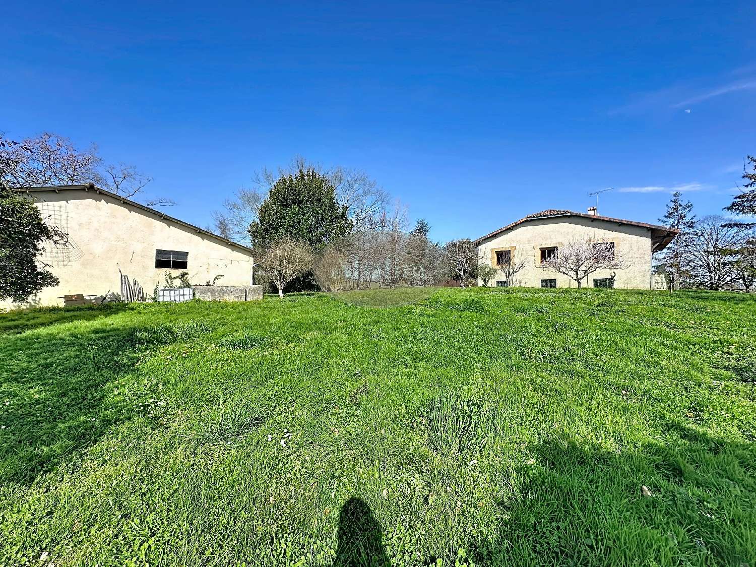 à vendre maison Marciac Gers 4