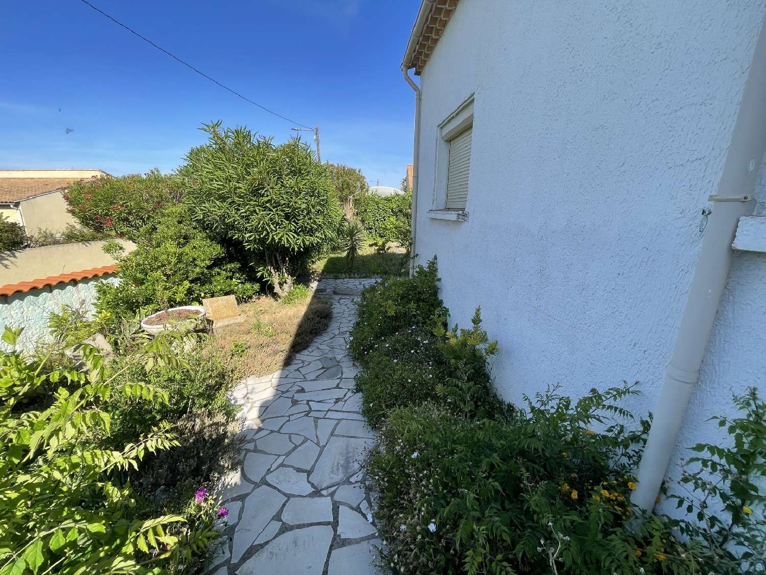 te koop huis Marseillan Hérault 7