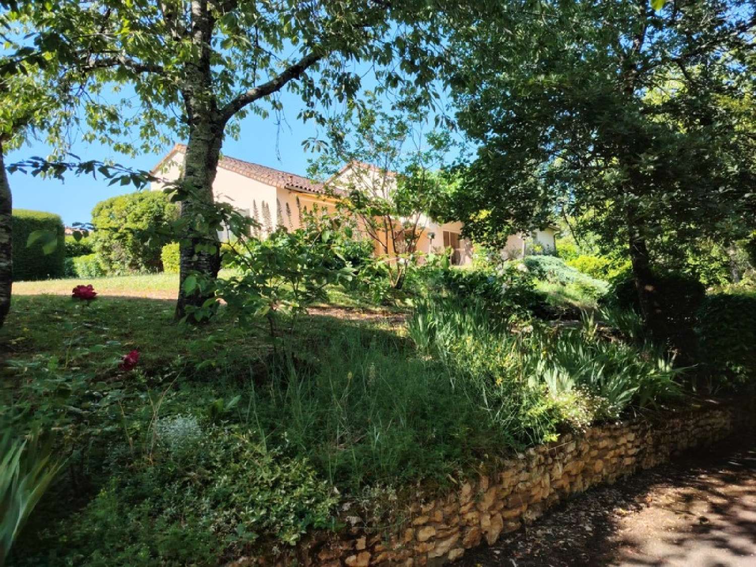  kaufen Haus Migné-Auxances Vienne 4