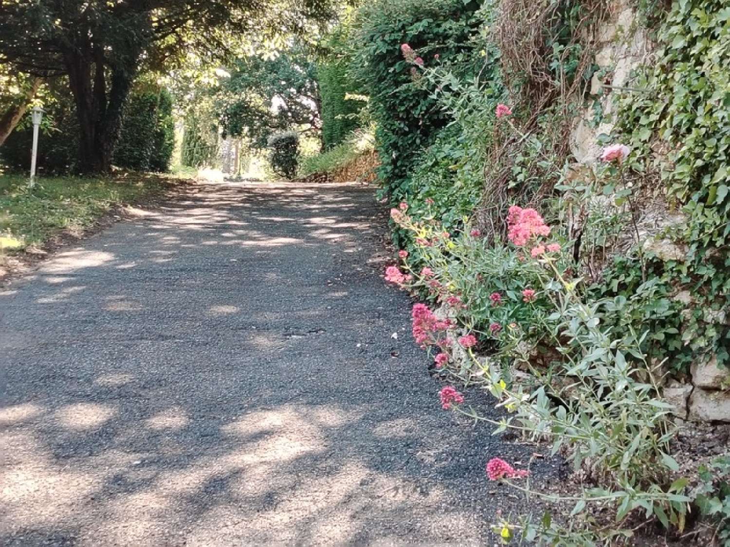  kaufen Haus Migné-Auxances Vienne 6