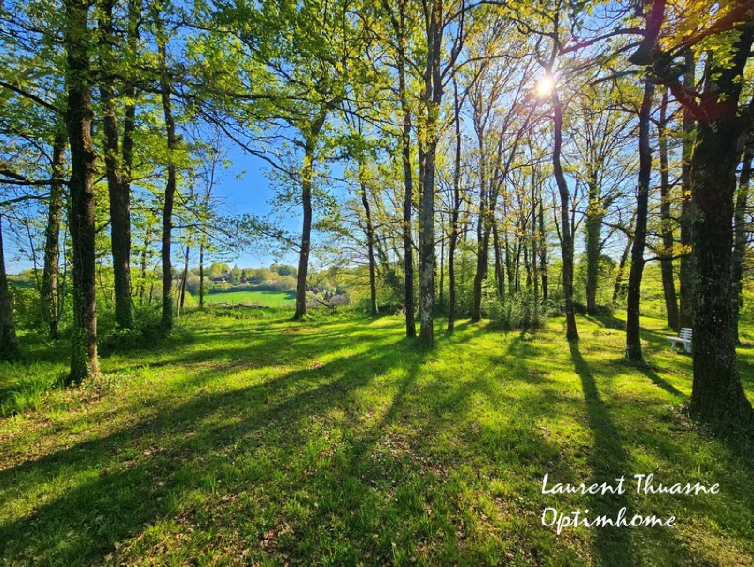 te koop huis Milhac-d'Auberoche Dordogne 7