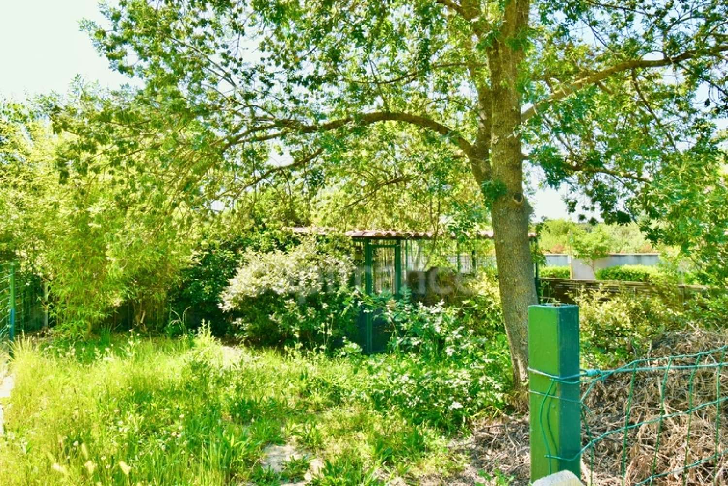 for sale house Montarnaud Hérault 8
