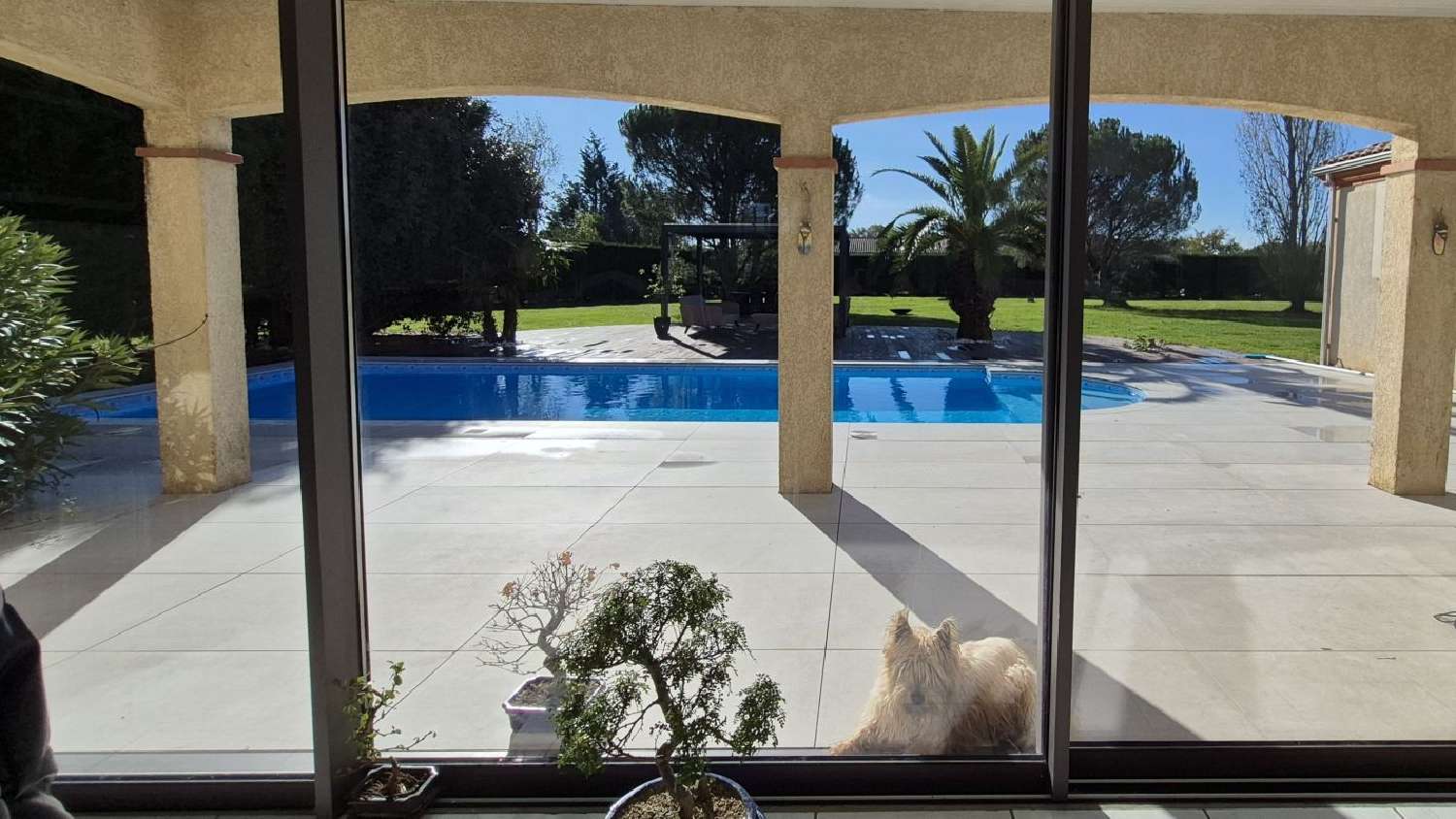 te koop huis Montastruc-la-Conseillère Haute-Garonne 1