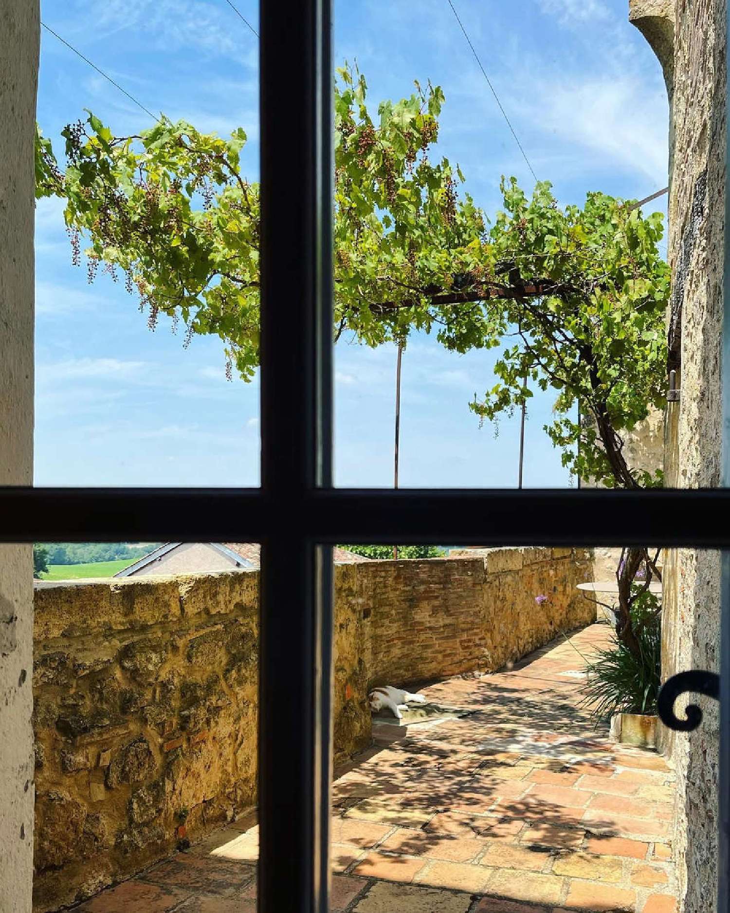 kaufen Haus Montauban Tarn-et-Garonne 6