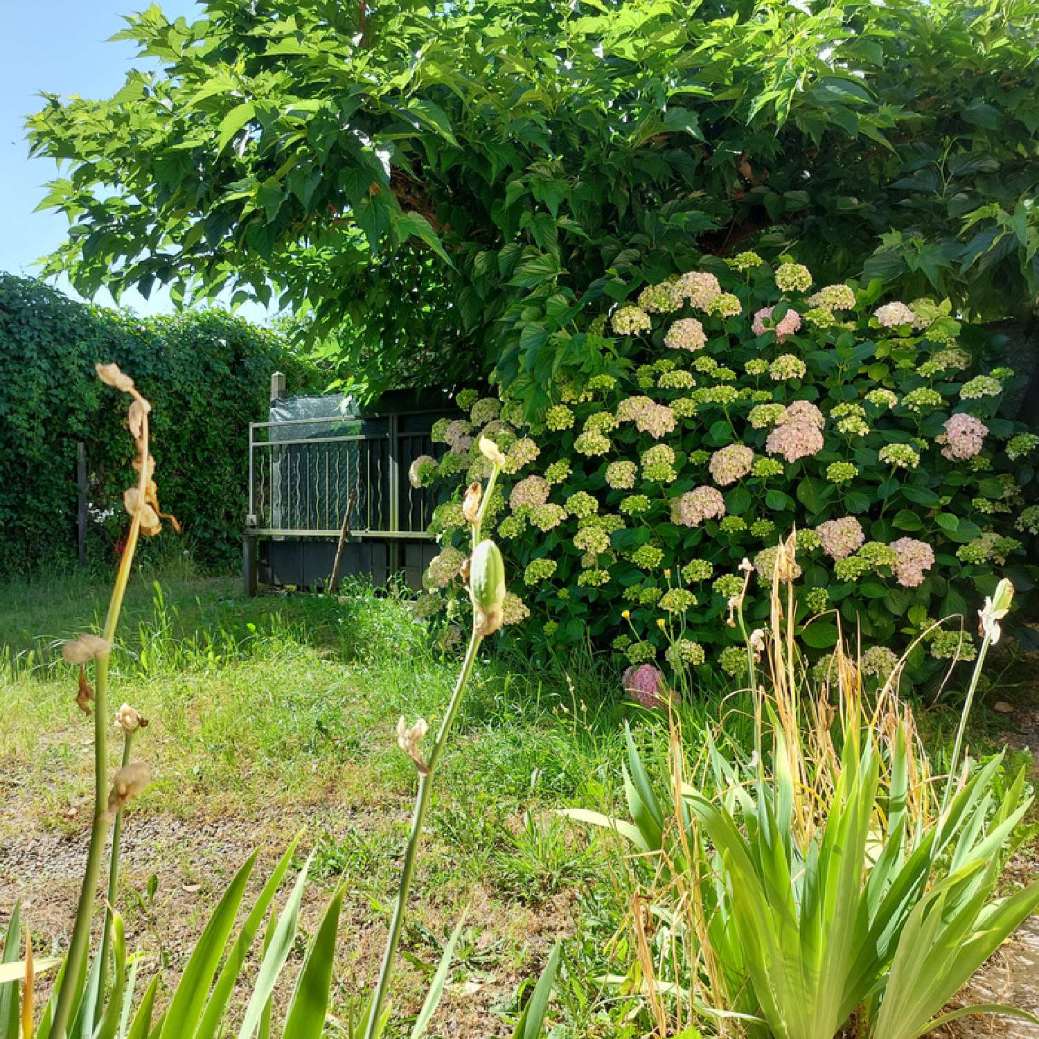  for sale house Montauban Tarn-et-Garonne 2