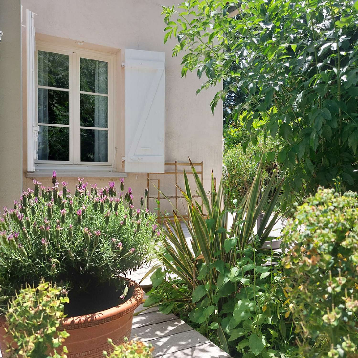 kaufen Haus Montauban Tarn-et-Garonne 1