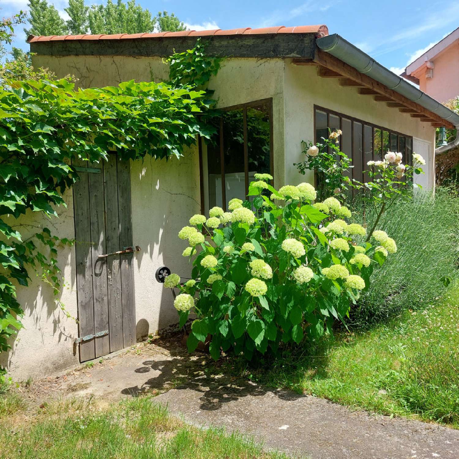 kaufen Haus Montauban Tarn-et-Garonne 3