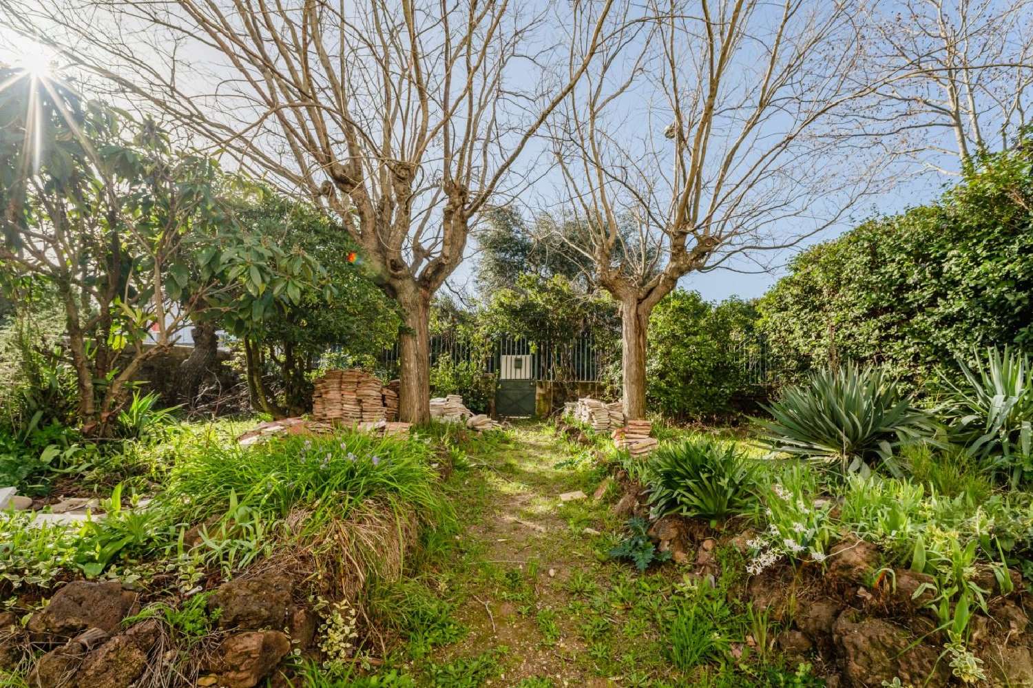  en venta casa Montblanc Hérault 3