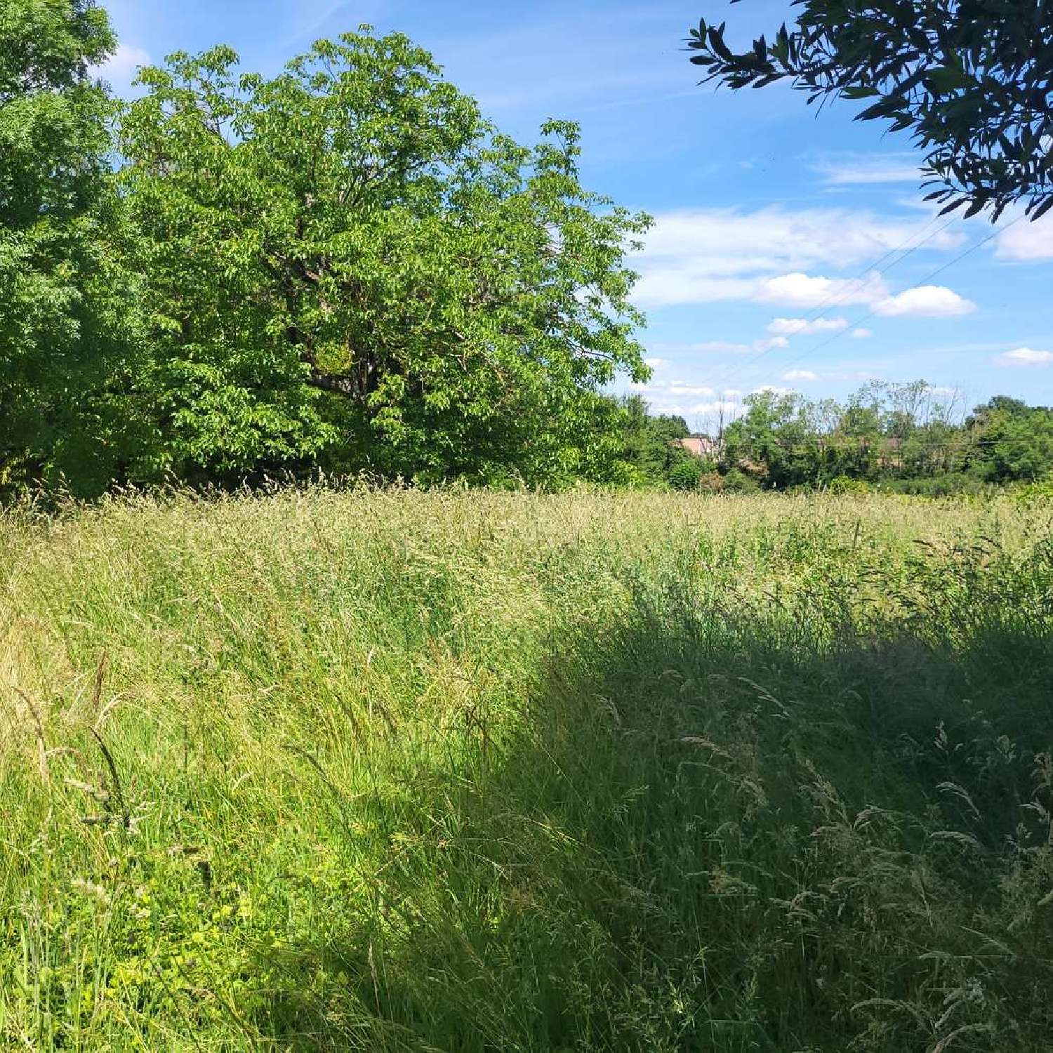 en venta casa Montret Saône-et-Loire 6