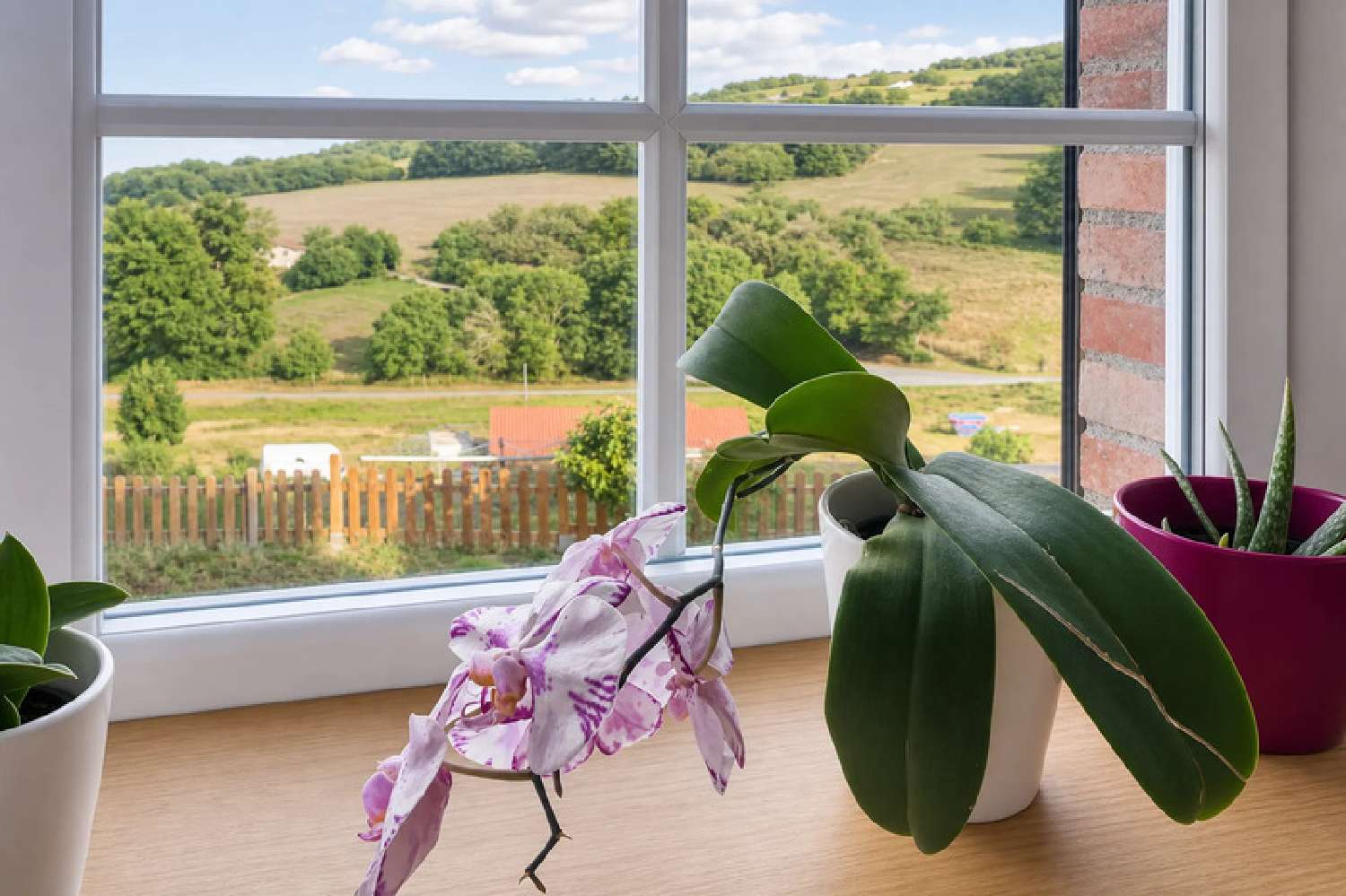 te koop huis Montromant Rhône 8