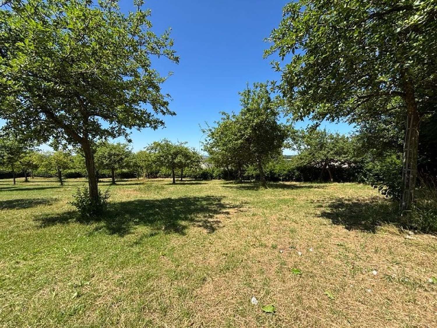  à vendre maison Mortain Manche 7