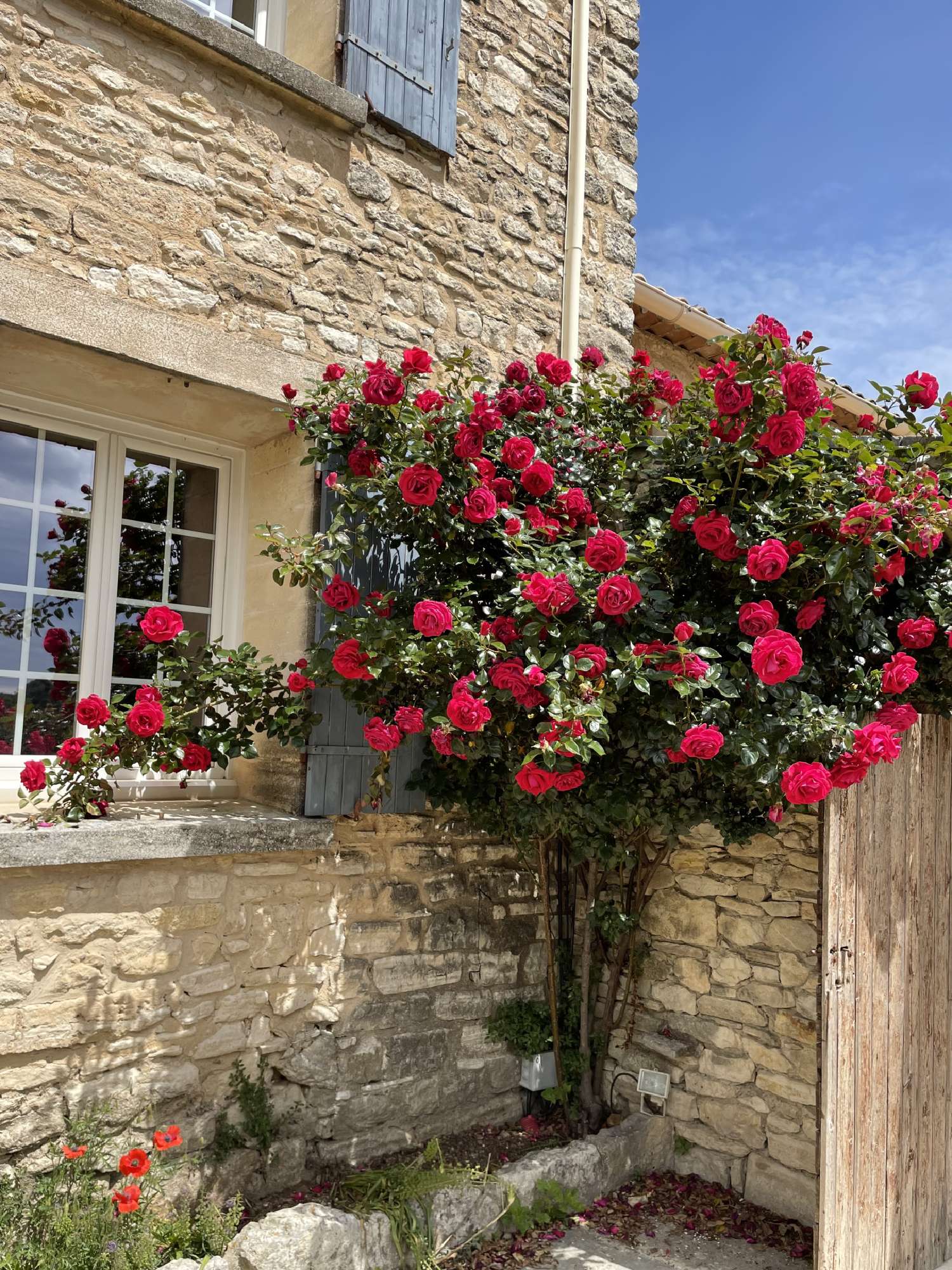 à vendre maison Murs Vaucluse 7