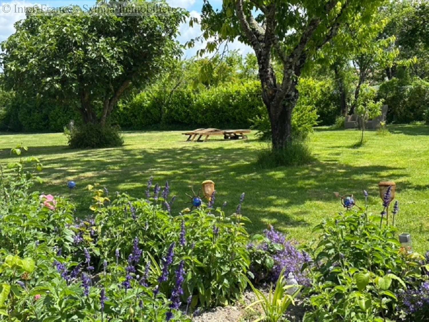 te koop huis Nabinaud Charente 9