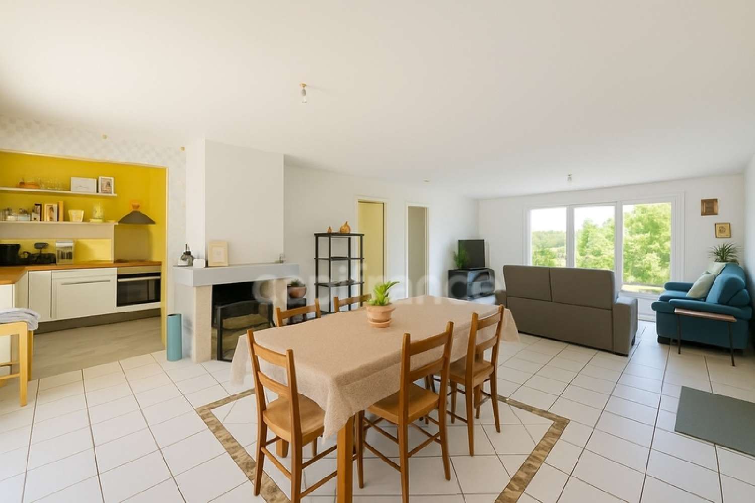 te koop huis Nailly Yonne 4