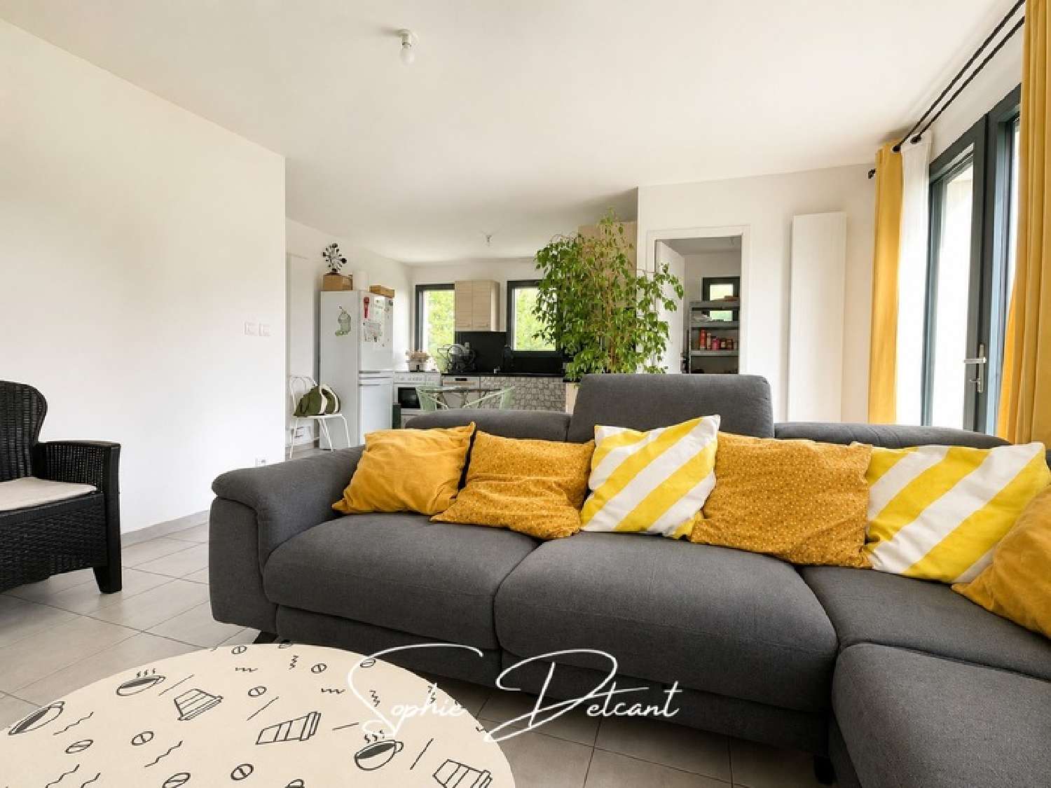  te koop huis Neuvy-le-Roi Indre-et-Loire 1