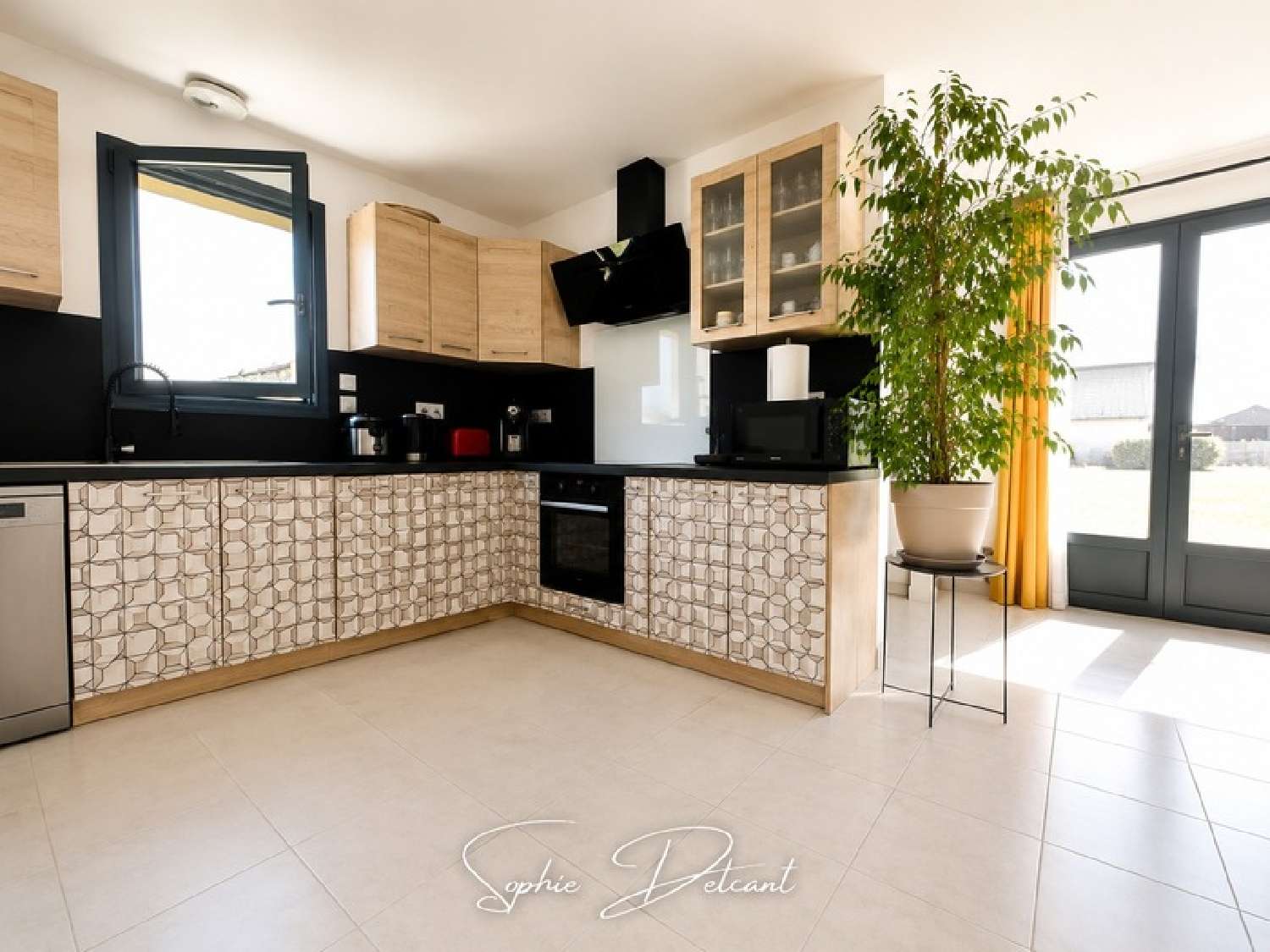  te koop huis Neuvy-le-Roi Indre-et-Loire 2