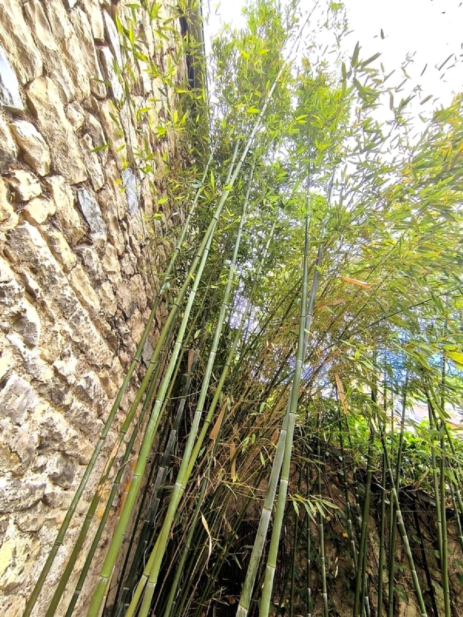 te koop huis Nevers Nièvre 7