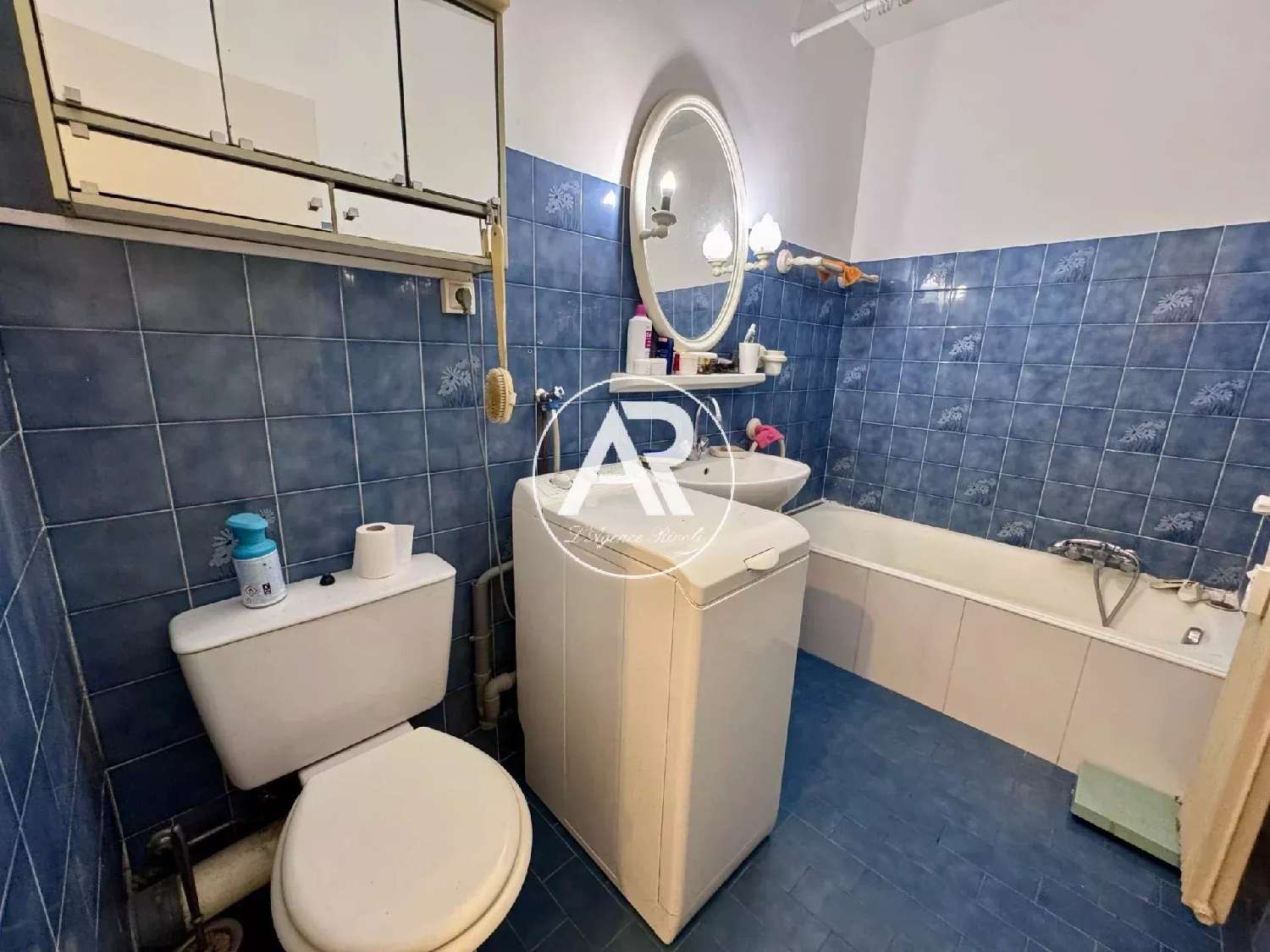  te koop huis Nice Alpes-Maritimes 6