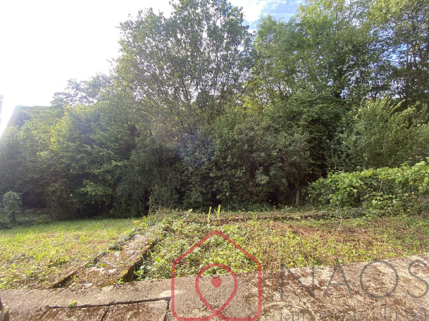 for sale house Nouzonville Ardennes 7