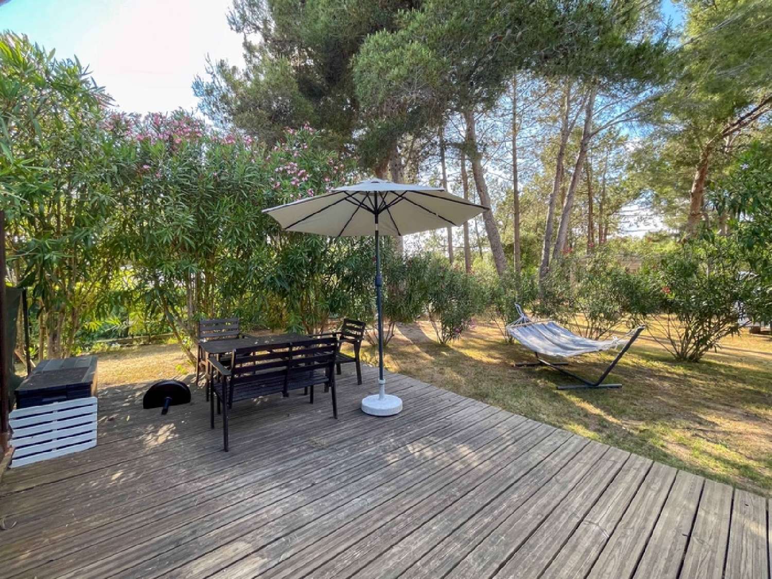 kaufen Haus Olmeto Corse-du-Sud 3