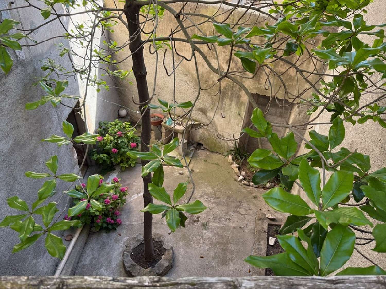  te koop huis Olonzac Hérault 3