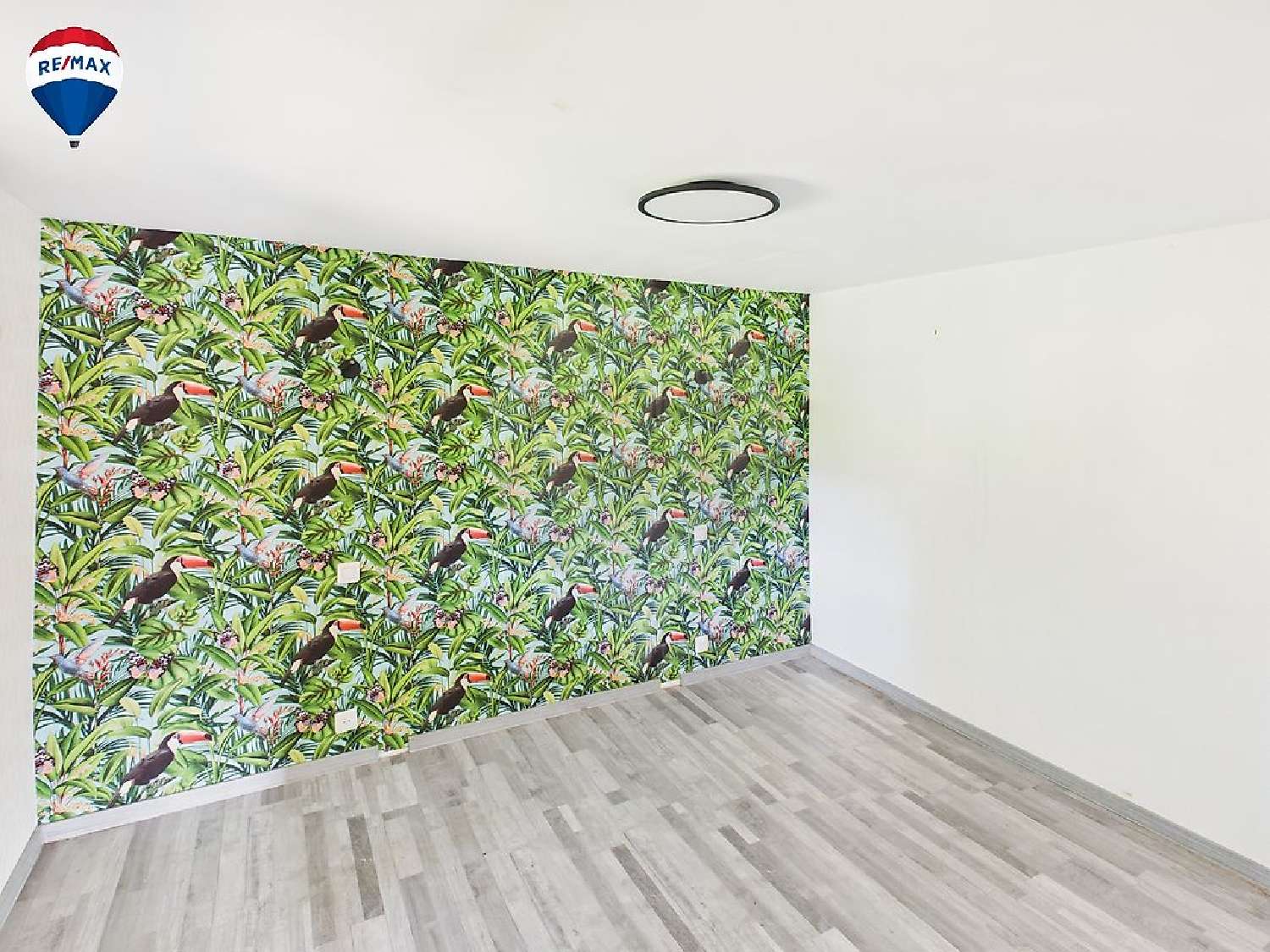  te koop huis Osenbach Haut-Rhin 5