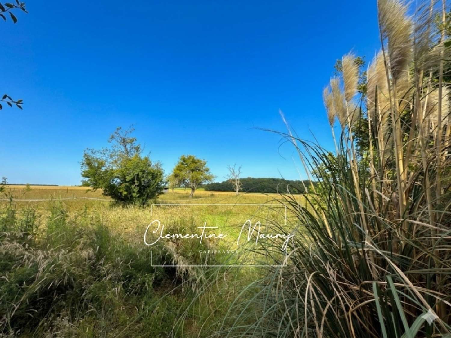 à vendre maison Oucques Loir-et-Cher 2