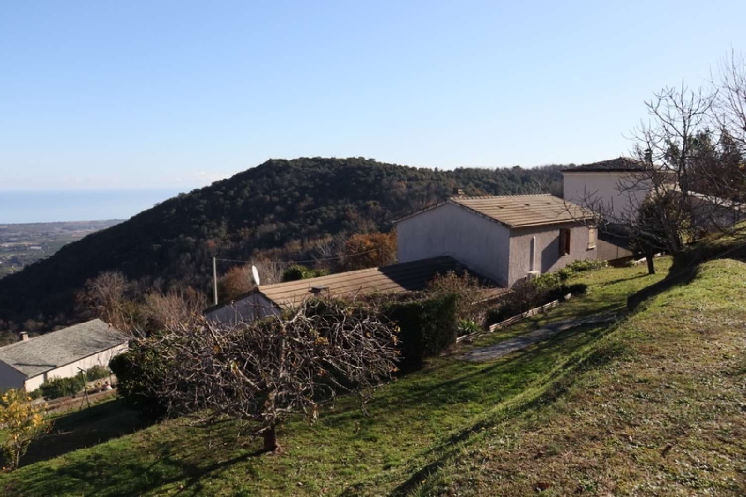 kaufen Haus Penta-di-Casinca Haute-Corse 1