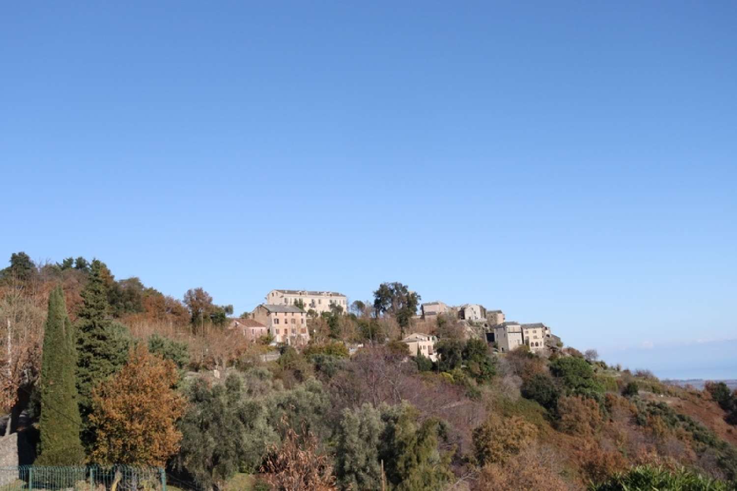 kaufen Haus Penta-di-Casinca Haute-Corse 2