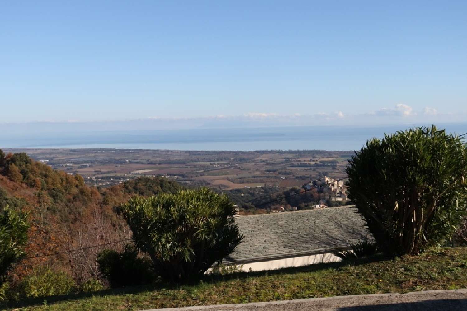 kaufen Haus Penta-di-Casinca Haute-Corse 3